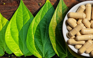 Best Kava Kava Alternatives for Sleeping - Pulsetto
