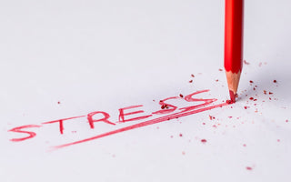 Vagus Nerve Stimulation for Stress | Do HRV Exercises & Non-Invasive Treatment Work
