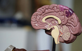 Role of Vagus Nerve Stimulation in Epilepsy Management