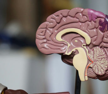 Role of Vagus Nerve Stimulation in Epilepsy Management
